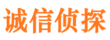 黎川诚信私家侦探公司